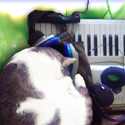 Tom